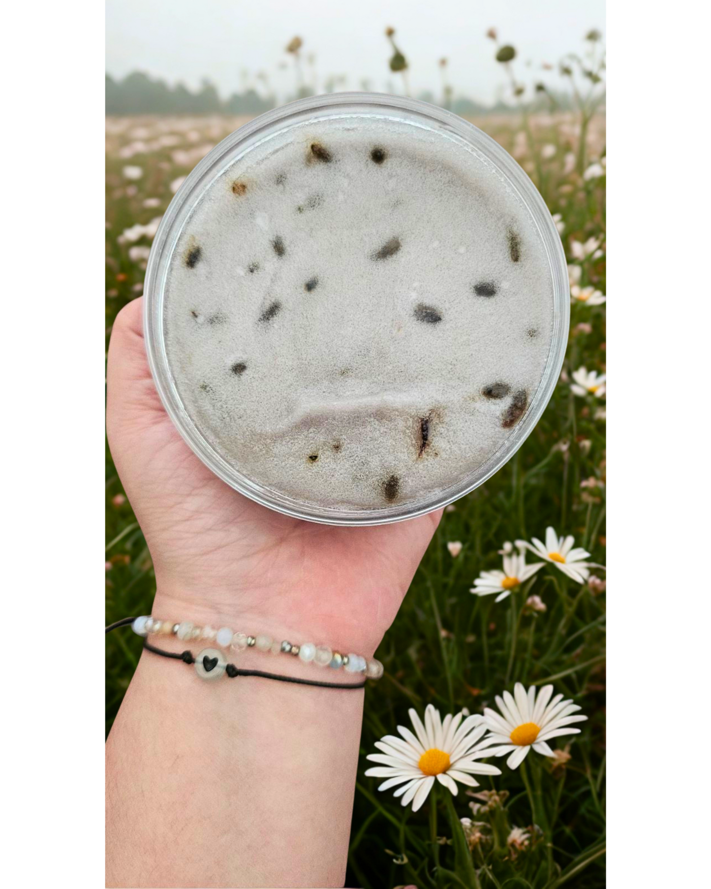 Sweet Lavender Dreams - Lavender Body Scrub